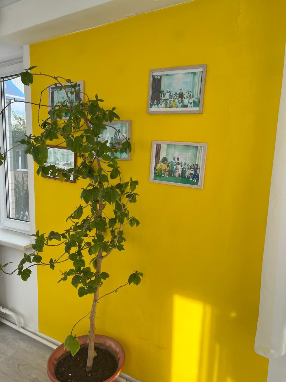 Изображение WhatsApp 2025-05-23 в 15.05.34_90215dd5